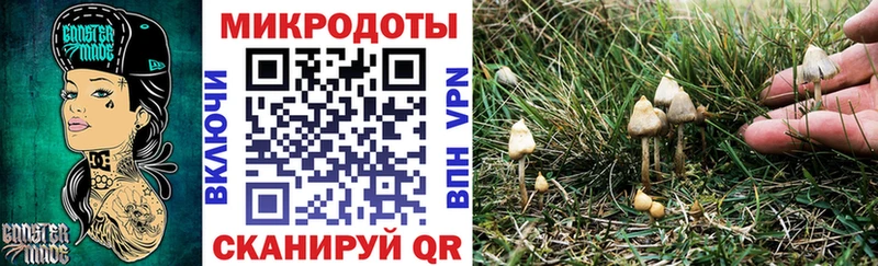 Галлюциногенные грибы GOLDEN TEACHER  Заволжск 