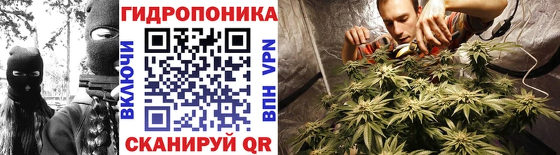 Конопля SATIVA & INDICA  закладка  Заволжск 
